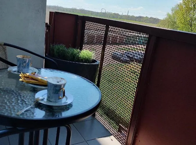 -jak W Domu- 60m2 Centrum Katowic 10km