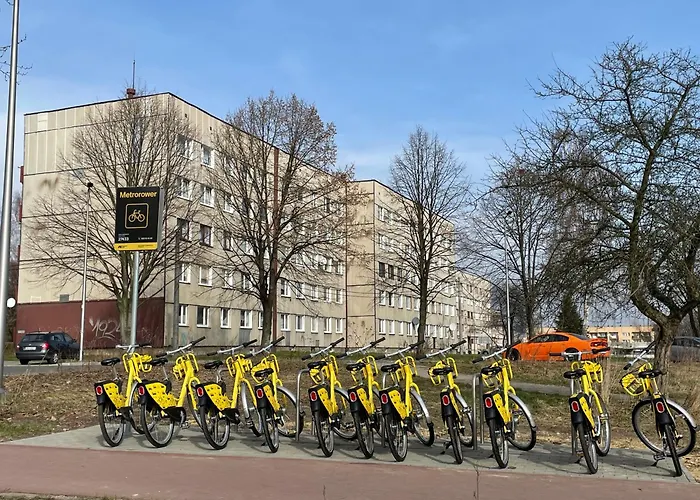 -jak W Domu- 60m2 Centrum Katowic 10km *