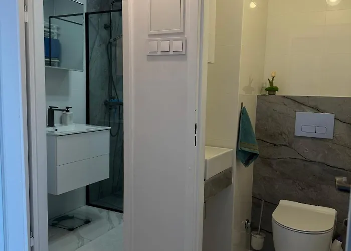 -jak W Domu- 60m2 Centrum Katowic 10km Appartement